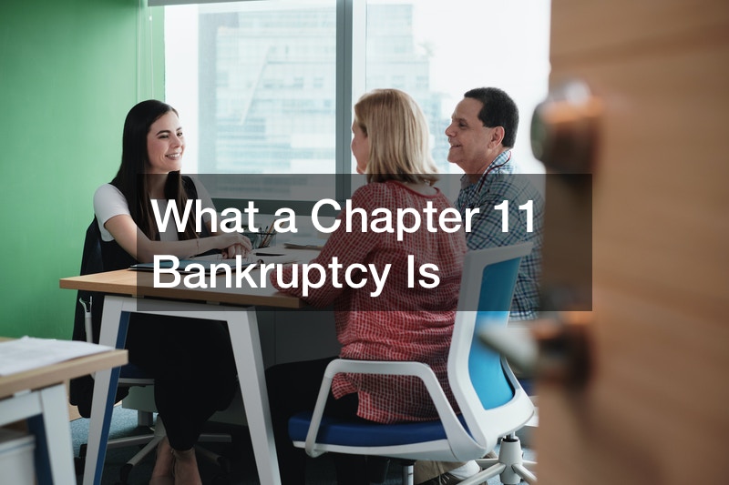 bankruptcy attorneys